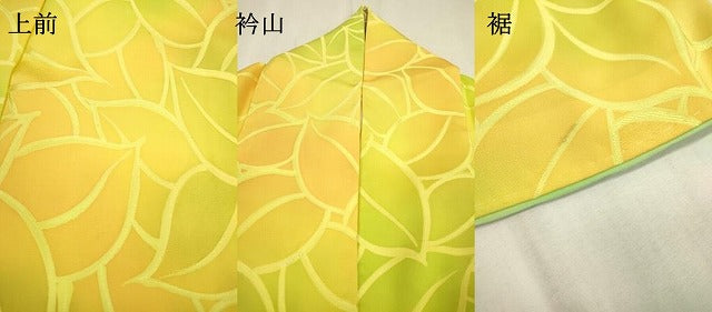 平和屋着物▼上質な小紋 地紋起こし 草花 暈し染 正絹 逸品 DABD5274fe