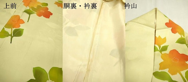 平和屋着物▼上質な小紋 地紋起こし 草花 正絹 逸品 DABD5275fe