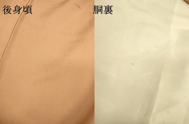 平和屋着物▼訪問着　刺繍　草花　金彩　正絹　逸品　DABD5440fe