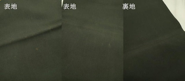 平和屋着物●塩瀬　九寸名古屋帯　ろうけつ染　樹林文　黒地　正絹　逸品　DABD5838fe