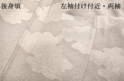 平和屋着物▽江戸小紋　単衣　作家物　鮫小紋柄　雲文　正絹　逸品　DABD5903fe