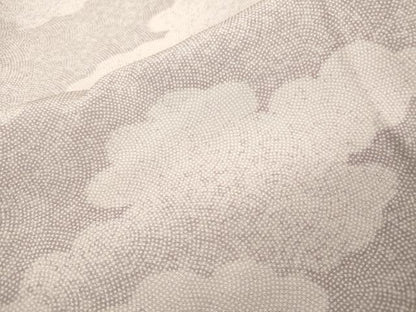 平和屋着物▽江戸小紋　単衣　作家物　鮫小紋柄　雲文　正絹　逸品　DABD5903fe