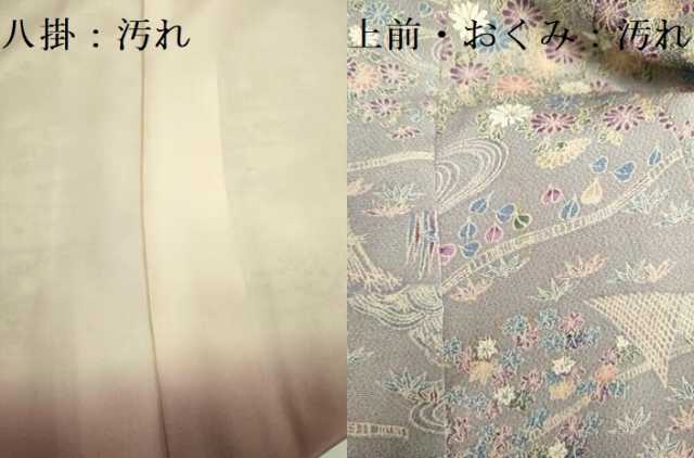 平和屋着物■訪問着 風景花文 暈し染め 鬼しぼ縮緬 正絹 逸品 DABD6024du