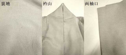 平和屋着物▽本塩沢　単衣　絣文様　潤色　正絹　逸品　DABD6519du