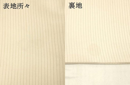 平和屋着物＊夏物 絽塩瀬 九寸名古屋帯 手描き 枝花文 金彩 正絹 逸品 DABD6522cm