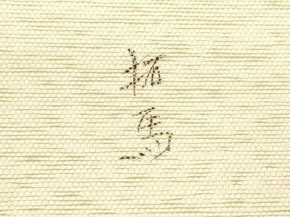 平和屋着物＊夏物 両面 太鼓柄袋帯 作家物 草花文 長尺 正絹 逸品 DABD6667cm