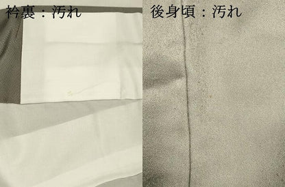 平和屋着物■訪問着 風景文 金銀彩 正絹 逸品 DABD6743cm