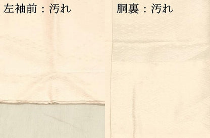 平和屋着物■長襦袢　無双仕立て　絞り　舞花文　虹色　正絹　逸品　DABD6848cm