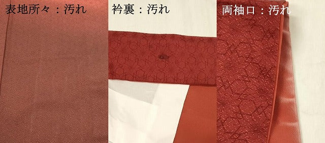 平和屋着物■色留訪問着 舞花文 暈し染め 洗える着物 DABD6974cm