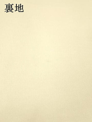平和屋着物＊夏物 六通柄袋帯 流水草葉文 銀糸 正絹 逸品 DABD6997cm