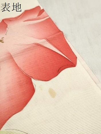 平和屋着物＊夏物　小紋　解き反物　着尺　絽　朝顔　アサガオ　金彩　裁断済　逸品　DABD8020zzz