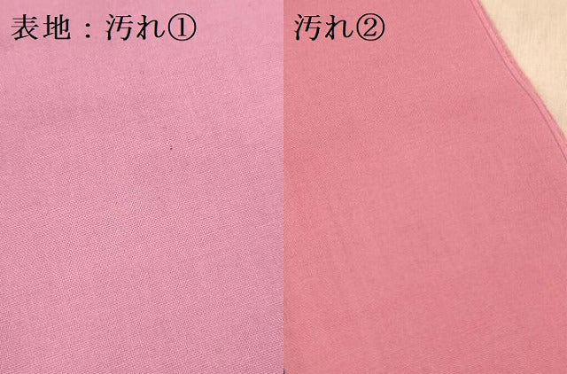 平和屋着物＊夏物　竺仙鑑製　浴衣　反物　着尺　蜻蛉　トンボ　証紙付き　綿　逸品　未使用　DABD8379zzz