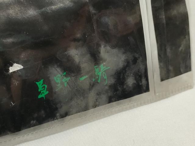 平和屋着物＊夏物　染色作家　草野一騎　浴衣　反物　着尺　注染　苺 いちご　綿　逸品　未使用　DABD8651zzz