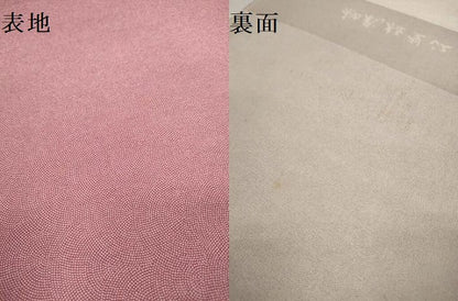 平和屋着物▼江戸小紋　反物　着尺　鮫小紋柄　逸品　未使用　DABD8662zzz