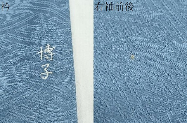 平和屋着物●上質な色無地　草花地紋　薄縹色　正絹　逸品　DABD9012ud