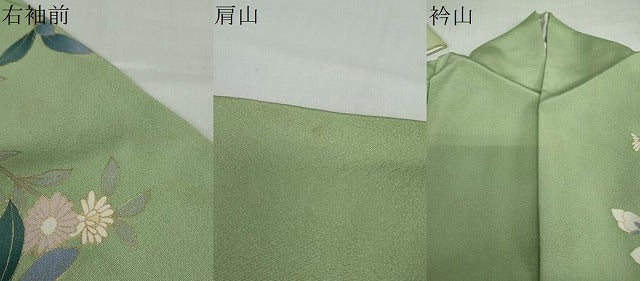 平和屋着物●訪問着　草花文　暈し染め　金彩　正絹　逸品　DABD9080ud