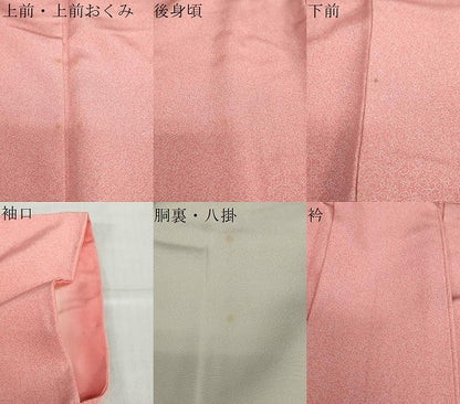 平和屋着物●重要無形文化財　人間国宝　中村勇二郎　江戸小紋　心技体　正絹　逸品　DABD9130ud