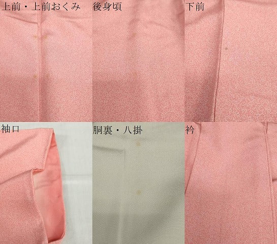 平和屋着物●重要無形文化財　人間国宝　中村勇二郎　江戸小紋　心技体　正絹　逸品　DABD9130ud
