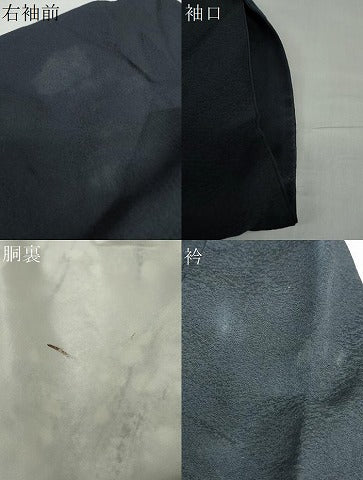 平和屋着物●訪問着　枝垂れ花文　暈し染め　金彩　正絹　逸品　DABD9145ud