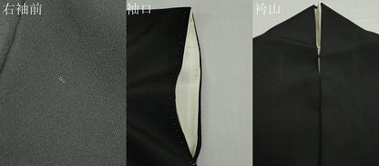 平和屋着物●豪華黒留袖　友禅　作家物　流水風景草花文　正絹　逸品　DABD9184ud