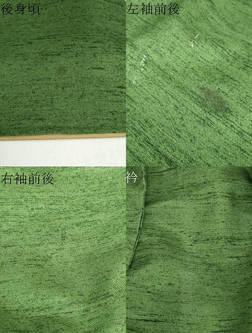 平和屋着物●訪問着　友禅　紬地　草花文　正絹　逸品　DABD9186ud