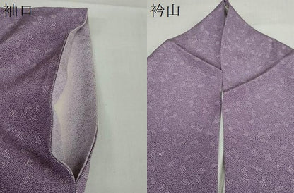 平和屋着物●江戸小紋　作家物　南天文　正絹　逸品　DABD9201ud