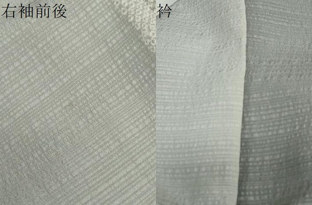 平和屋着物●訪問着　枝葉南天文　暈し染め　金彩　正絹　逸品　DABD9242ud