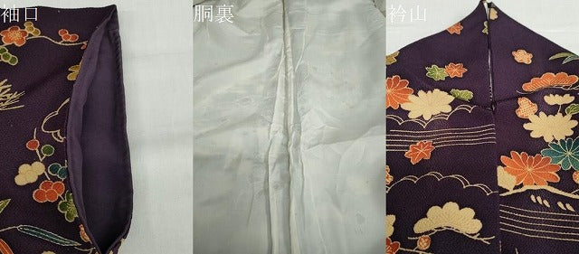 平和屋着物●訪問着　型染め　流水草花文　鬼しぼ縮緬　正絹　逸品　DABD9244ud