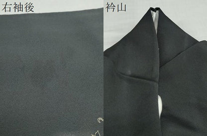 平和屋着物●訪問着　流水花鳥文　暈し染め　黒地　金彩　正絹　逸品　DABD9357ud