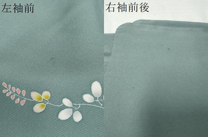 平和屋着物●訪問着　地紙花蝶文　金彩　ますいわ屋扱い　正絹　逸品　DABD9361ud