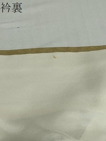 平和屋着物●訪問着　草花文　暈し染め　金彩　正絹　逸品　DABD9383ud