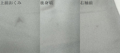 平和屋着物●訪問着　友禅　草花文　暈し染め　正絹　逸品　DABD9384ud