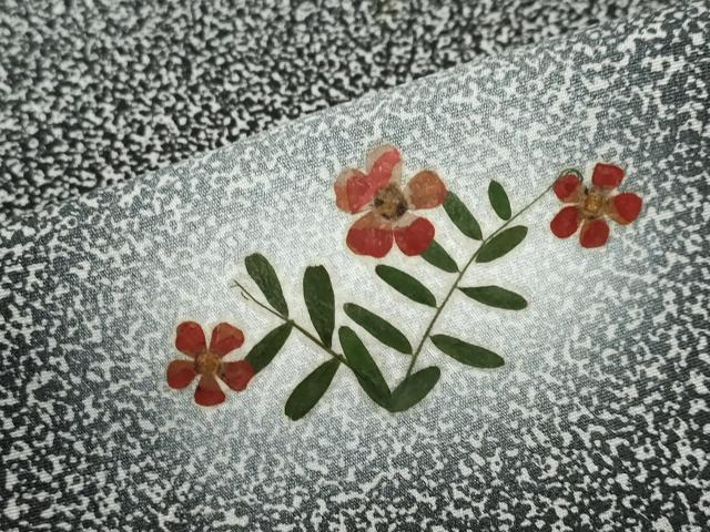 平和屋着物●訪問着　作家物　押し花　草花文　蛍暈し　正絹　逸品　DABD9423ud