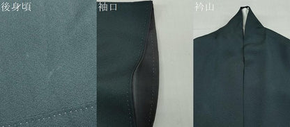 平和屋着物●訪問着　駒刺繍　扇面草花文　金彩　正絹　逸品　DABD9489ud