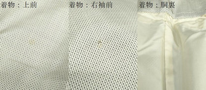 平和屋着物●男性　本場大島紬　アンサンブル　白大島　抽象文様　証紙付き　正絹　逸品　DABD9500ud