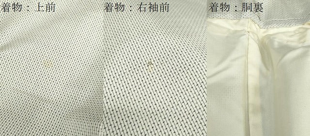 平和屋着物●男性　本場大島紬　アンサンブル　白大島　抽象文様　証紙付き　正絹　逸品　DABD9500ud