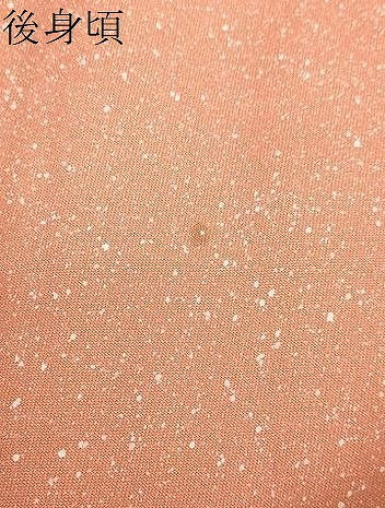 平和屋着物●訪問着　刺繍　短冊草花籬文　暈し染め　金彩　正絹　逸品　DABD9523ud
