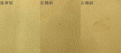 平和屋着物●訪問着　友禅　作家物　流水風景草花文　正絹　逸品　DABD9524ud