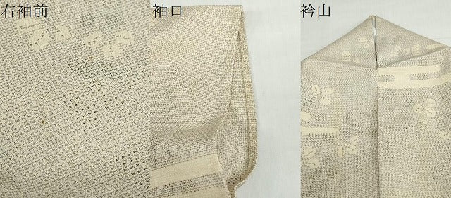 平和屋着物▽本塩沢　単衣　110亀甲　エ霞舞葉文　正絹　逸品　DABD9614ud