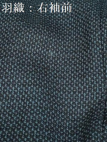 平和屋着物●男性　紬　アンサンブル　長羽織　120亀甲　総詰め　正絹　逸品　DABD9873ud