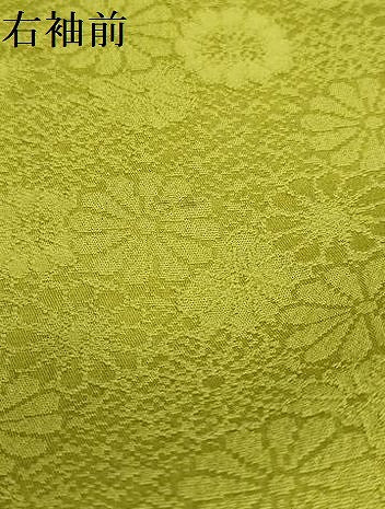 平和屋着物●上質な色無地　舞花地紋　菜種油色　正絹　逸品　DABD9896ud