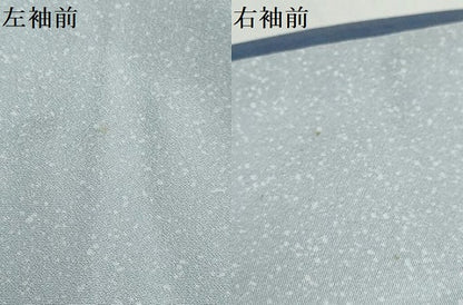 平和屋着物●訪問着　友禅　草花文　正絹　逸品　DABD9907ud