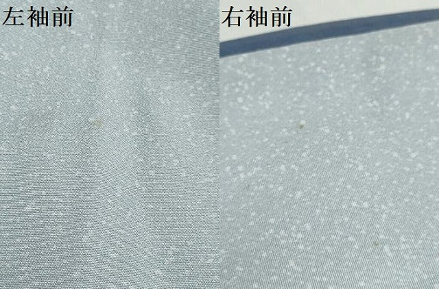 平和屋着物●訪問着　友禅　草花文　正絹　逸品　DABD9907ud