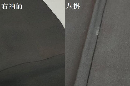 平和屋着物●訪問着　秋草文　黒地　金彩　ますいわ屋扱い　正絹　逸品　DABD9945ud