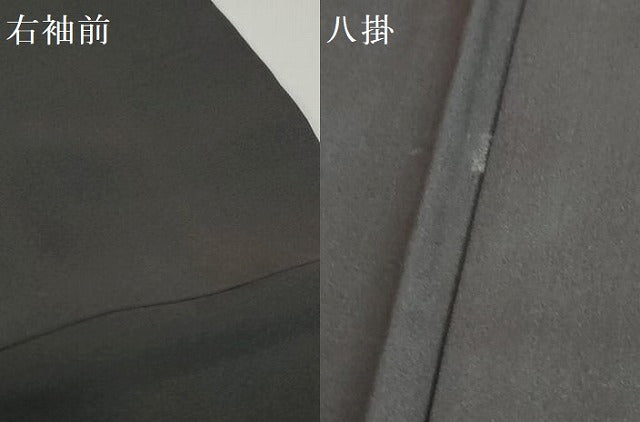 平和屋着物●訪問着　秋草文　黒地　金彩　ますいわ屋扱い　正絹　逸品　DABD9945ud