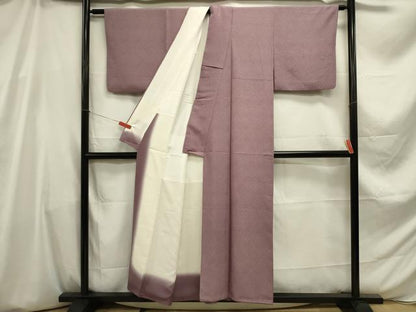 平和屋着物■江戸小紋　無病息災　正絹　逸品　DABE0010ya