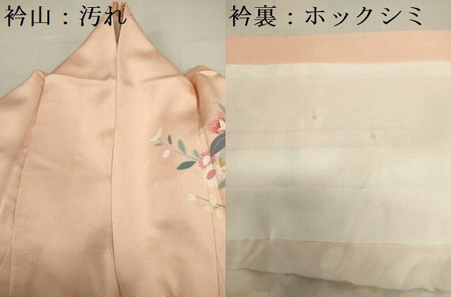 平和屋着物■訪問着　草花文　金彩　正絹　逸品　DABE0024ya