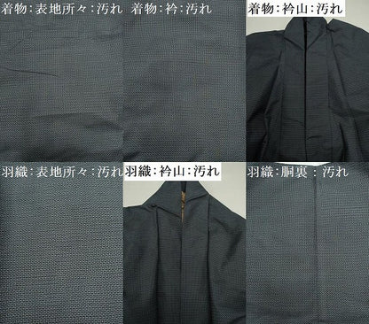 平和屋着物■男性 本場大島紬 アンサンブル 80亀甲 総詰め 正絹 逸品 DABE0030ya