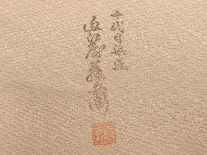 平和屋着物■上質な小紋　作家物　霞文　暈し染め　正絹　逸品　DABE0080ya