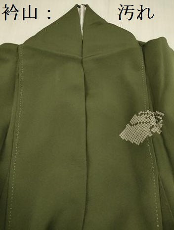 平和屋着物■訪問着　螺鈿　草花文　金彩　正絹　逸品　DABE0271ya